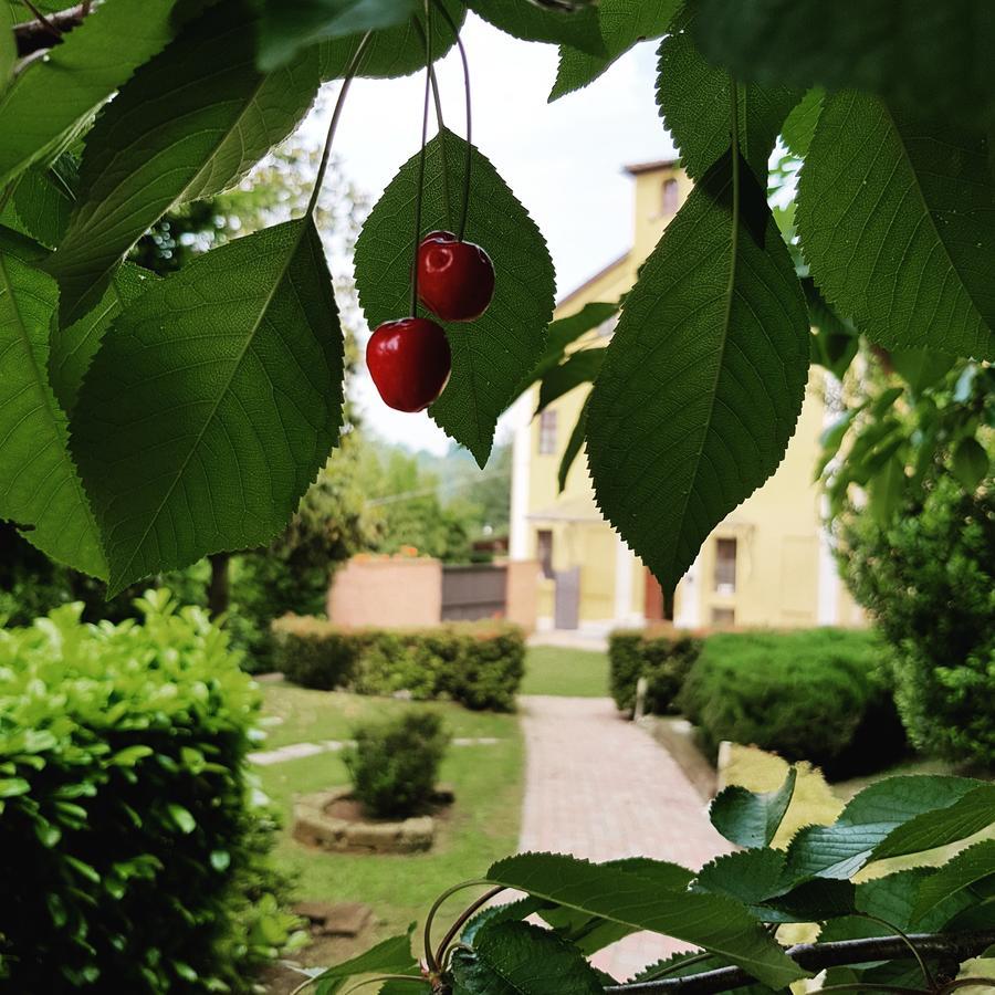 Casa Dei Frati Hotel Asti Luaran gambar